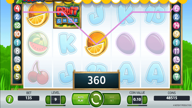 Бонусная игра Fruit Shop 8